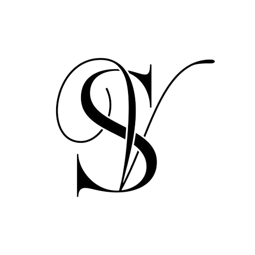 Logo Vlad's Visual Studio